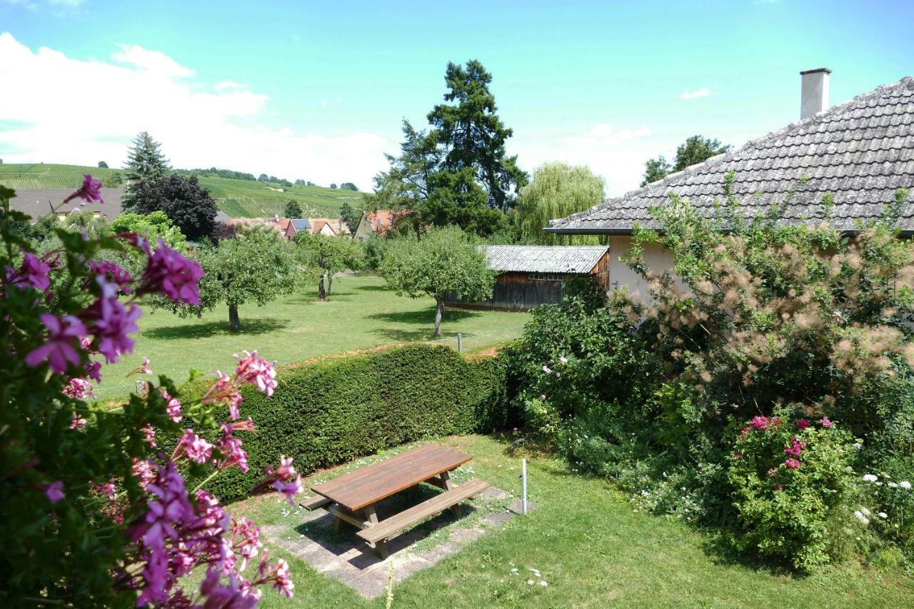 Gite L'Agape Riquewihr Dış mekan fotoğraf